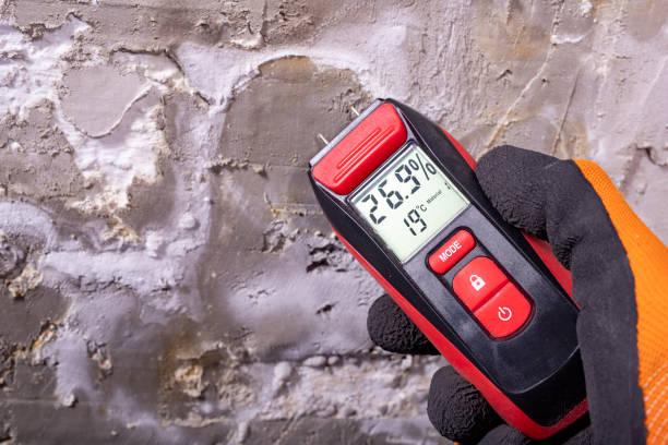 Best Bathroom Mold Remediation in Orange, CA